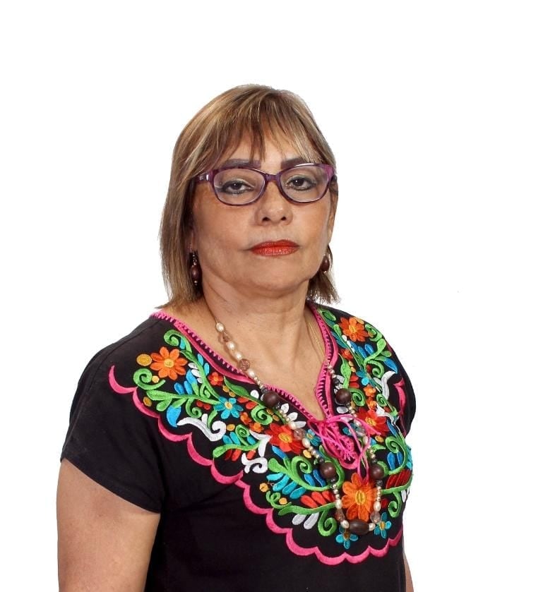 ¿Quién es Bertha Osorio Ferral? Diputada de Morena