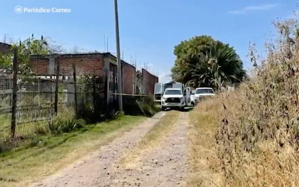 Perro que cargaba pierna humana en el hocico conduce a megafosa cladestina en Irapuato