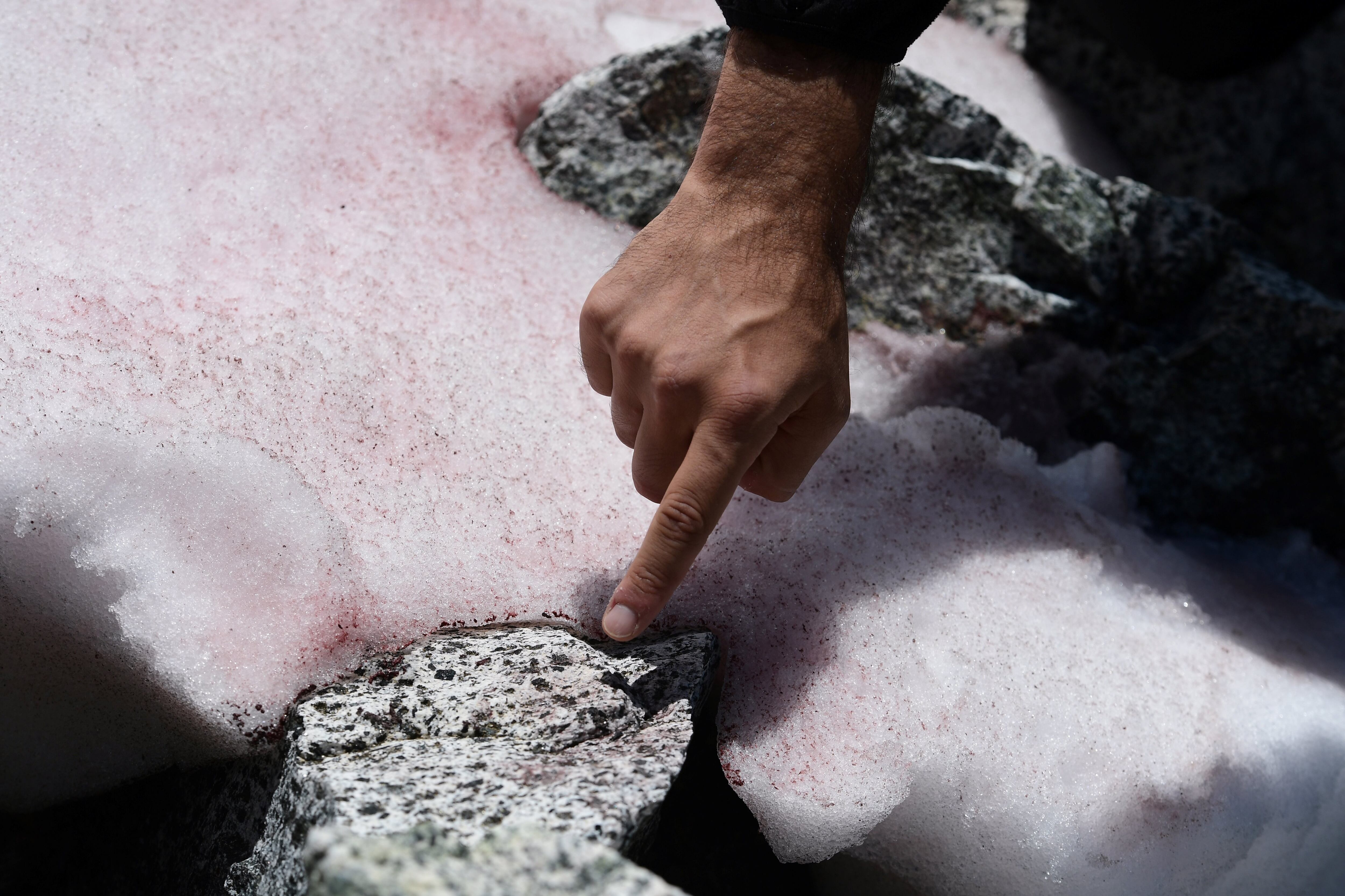 Glaciar Presena