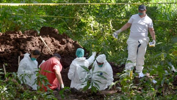 Fosa sinaloa ilustrativa