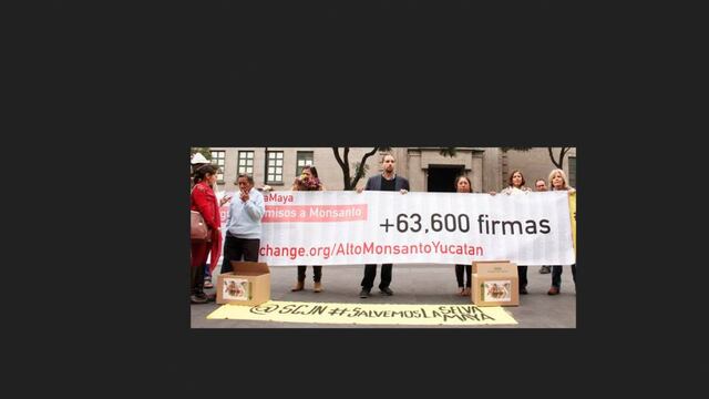 El 28 de octubre se decidirá de manera definitiva si los organismos genéticamente modificados pueden ser sembrados o no en la península.