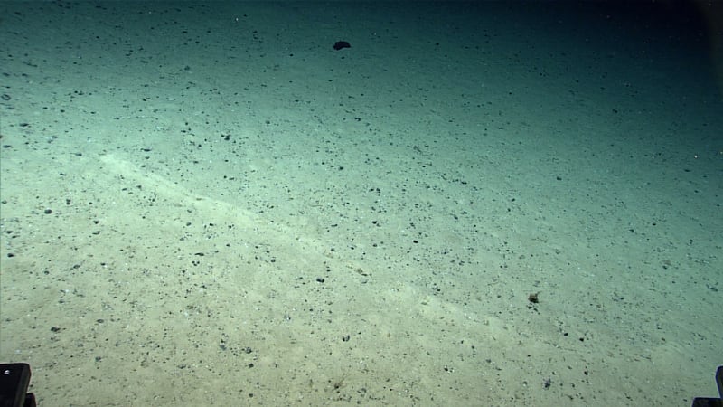 Extraña hilera de agujeros descubiertos en el fondo del mar