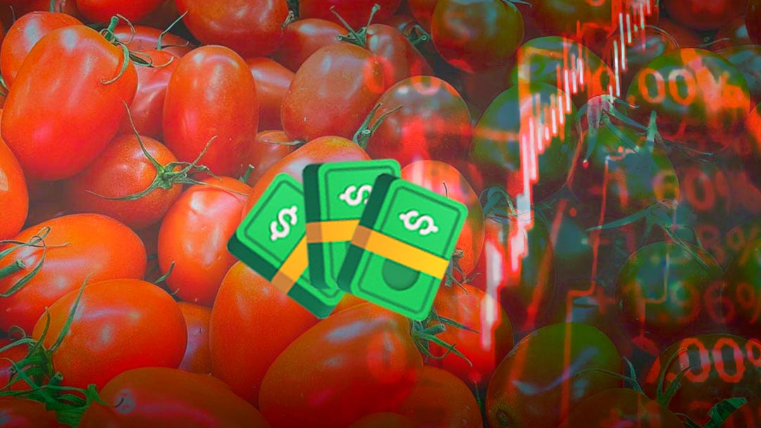 Jitomate dispara su precio en CDMX: 80 pesos por kilo