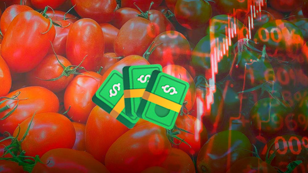 Precio del jitomate se dispara en la CDMX