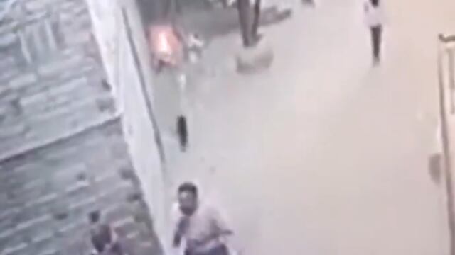 Gato incendia hojas secas y basura