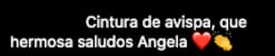 Comentarios de fans de Ángela Aguilar halagan su diminuta cintura.