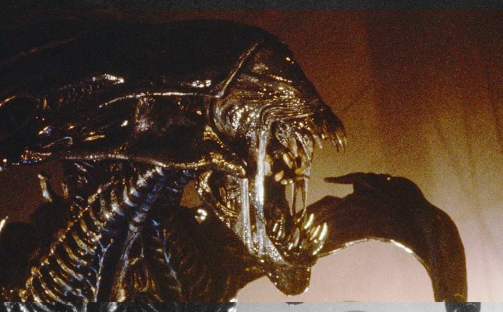 Xenomorfo