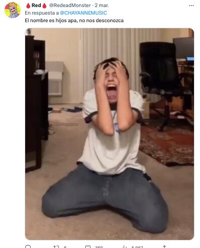 "Hijos" de Chayanne piden ser reconocidos