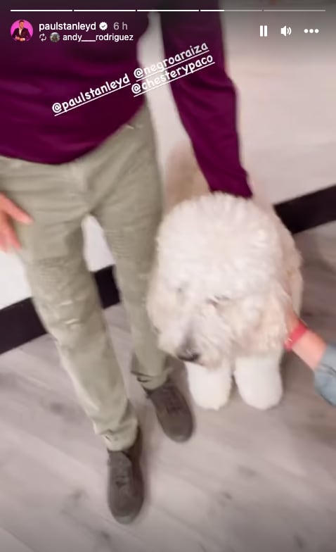 Paul Stanley ya tiene reemplazo y es su perro Paco