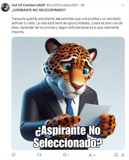 Memes de Aspirante no seleccionado