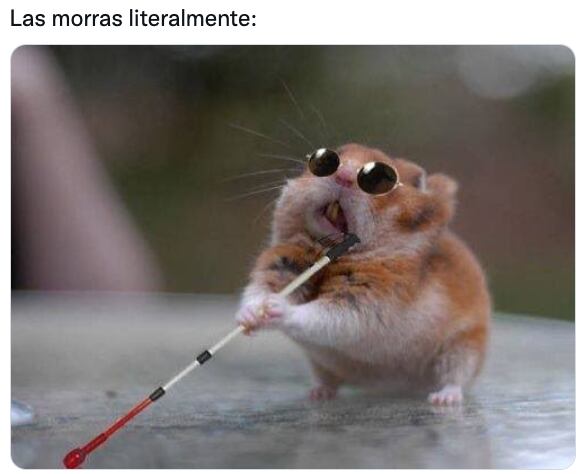 Tras confundir a Miguel Layún con Adam Levine, los memes no han parado en redes sociales