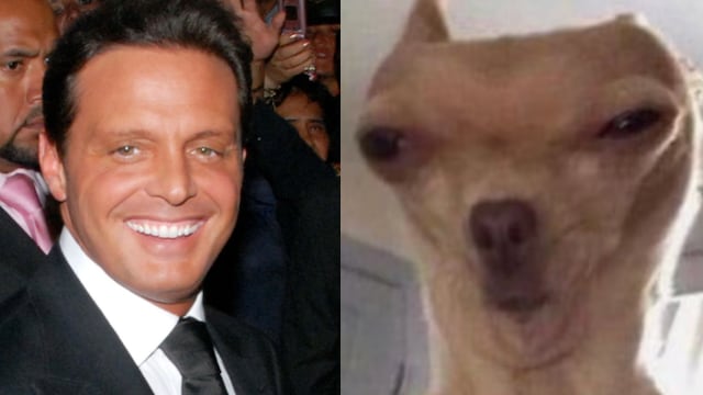 Luis Miguel y sus memes