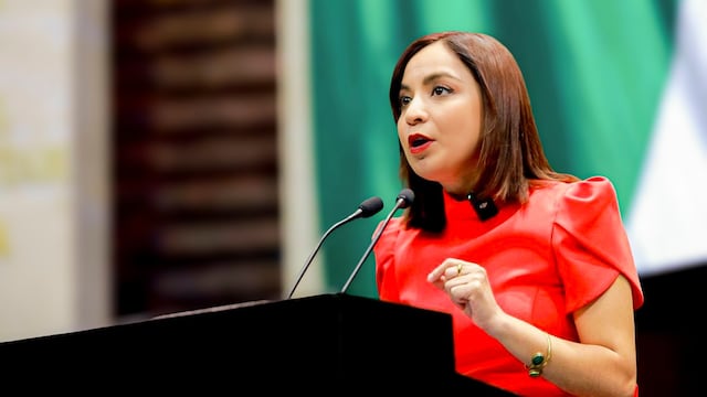 Iráis Virginia Reyes, diputada federal de Movimiento Ciudadano