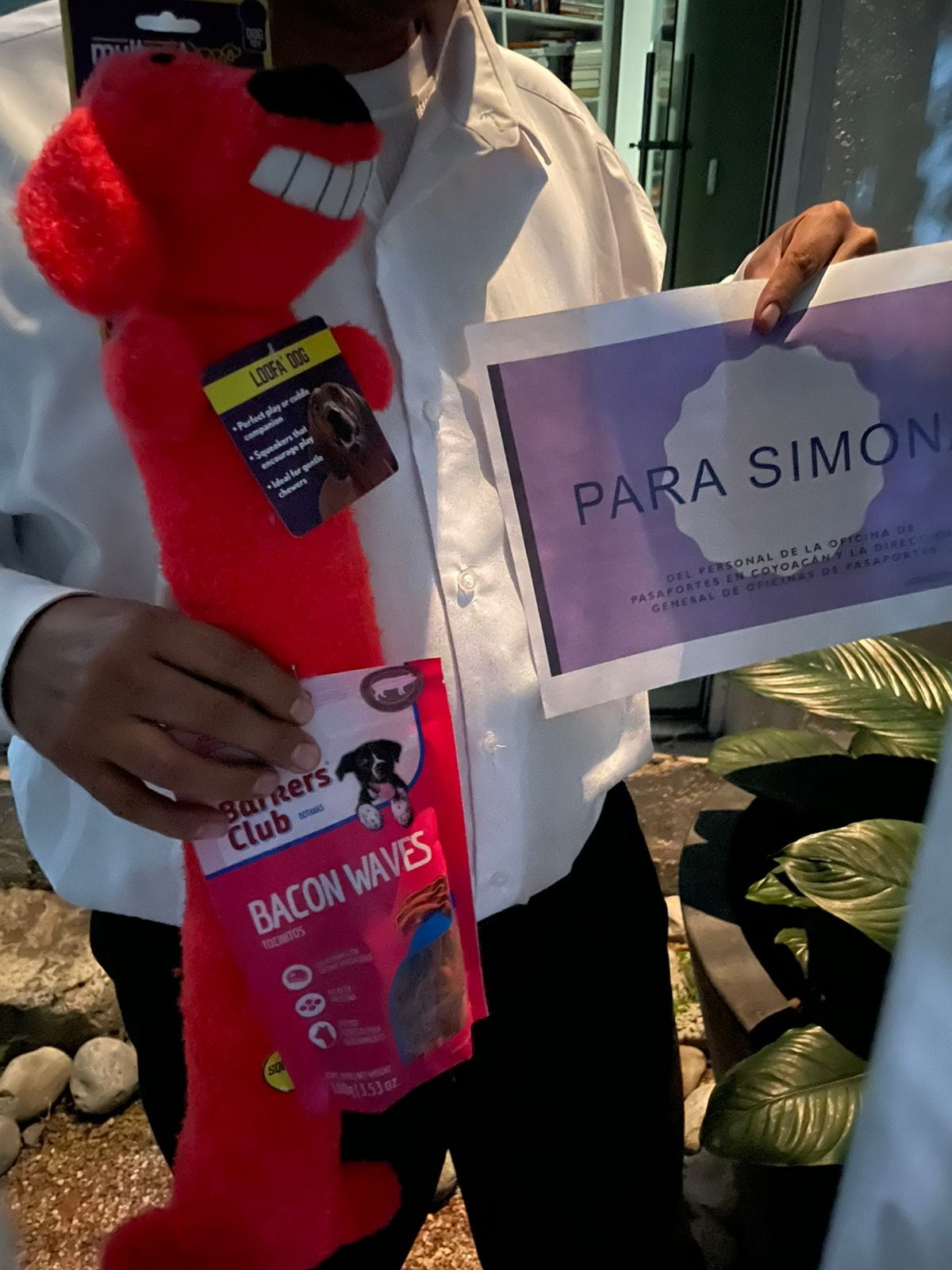 Regalo de la Oficina General de Pasaportes para la perrita Simona