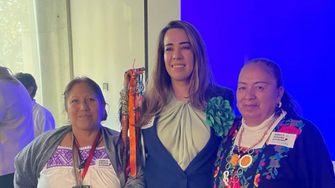 Jueza Blanca Ochoa tacha de “irresponsable” postura de Lorenzo Córdova contra las Elecciones 2025 al Poder Judicial