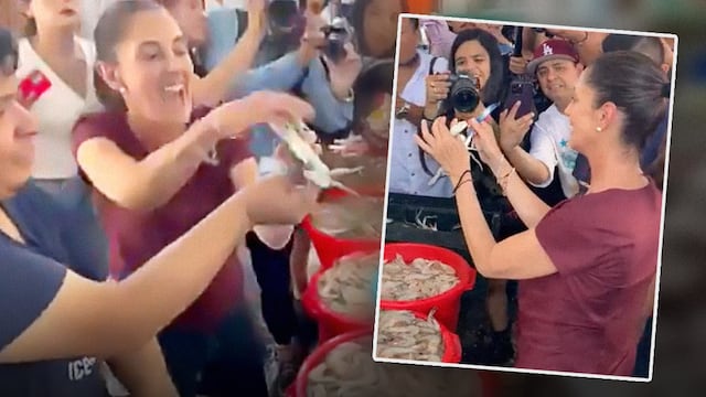 Claudia Sheinbaum fue mordida por un cangrejo