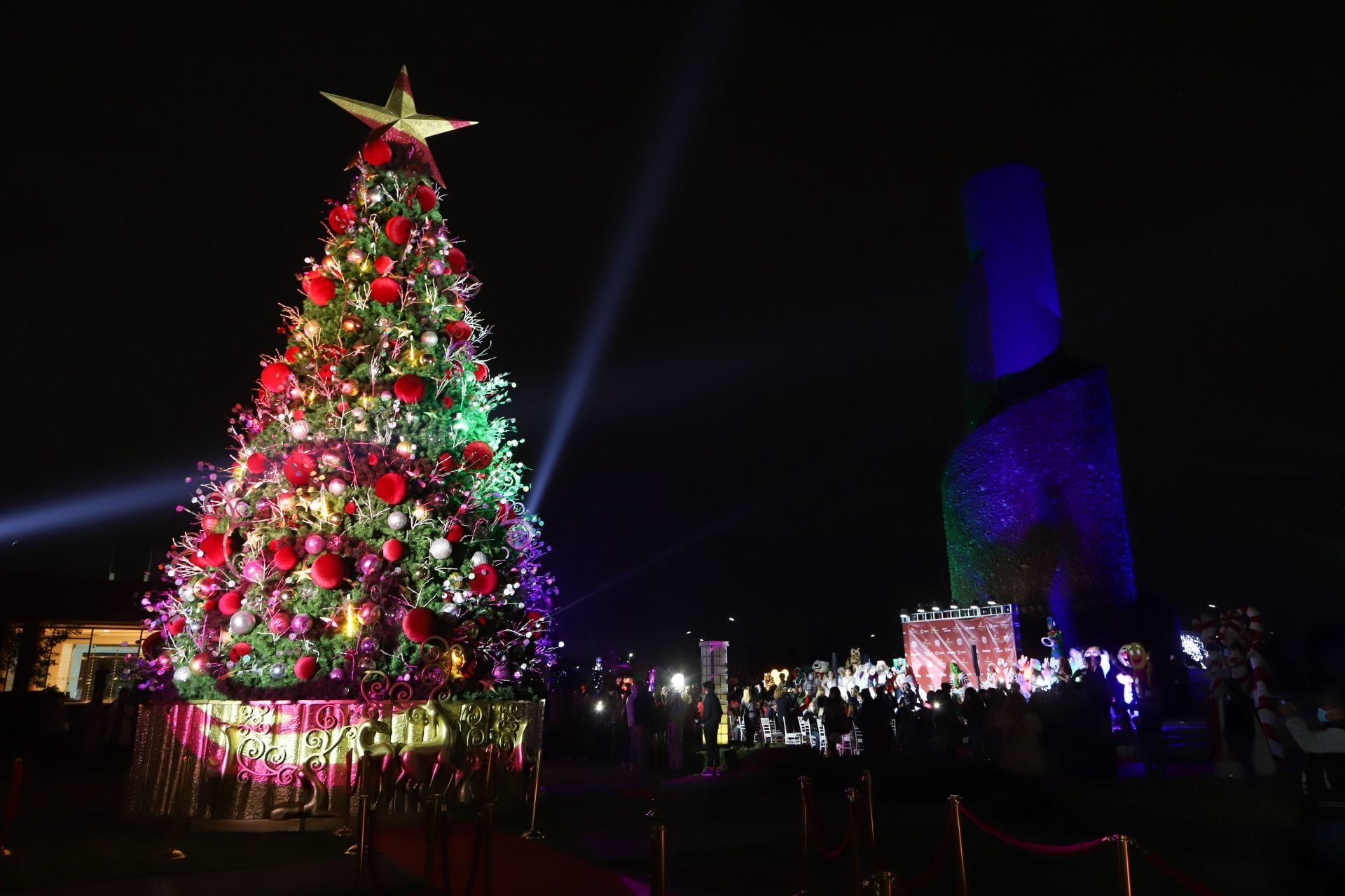 ¿Qué es el Síndrome del árbol de Navidad?