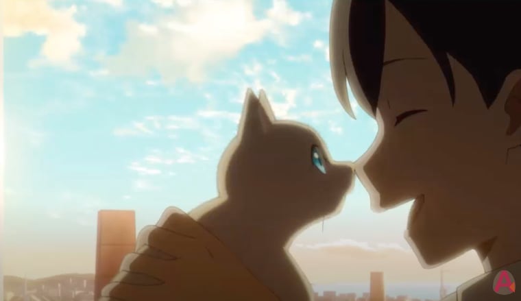 Película animada "Amor de gata"