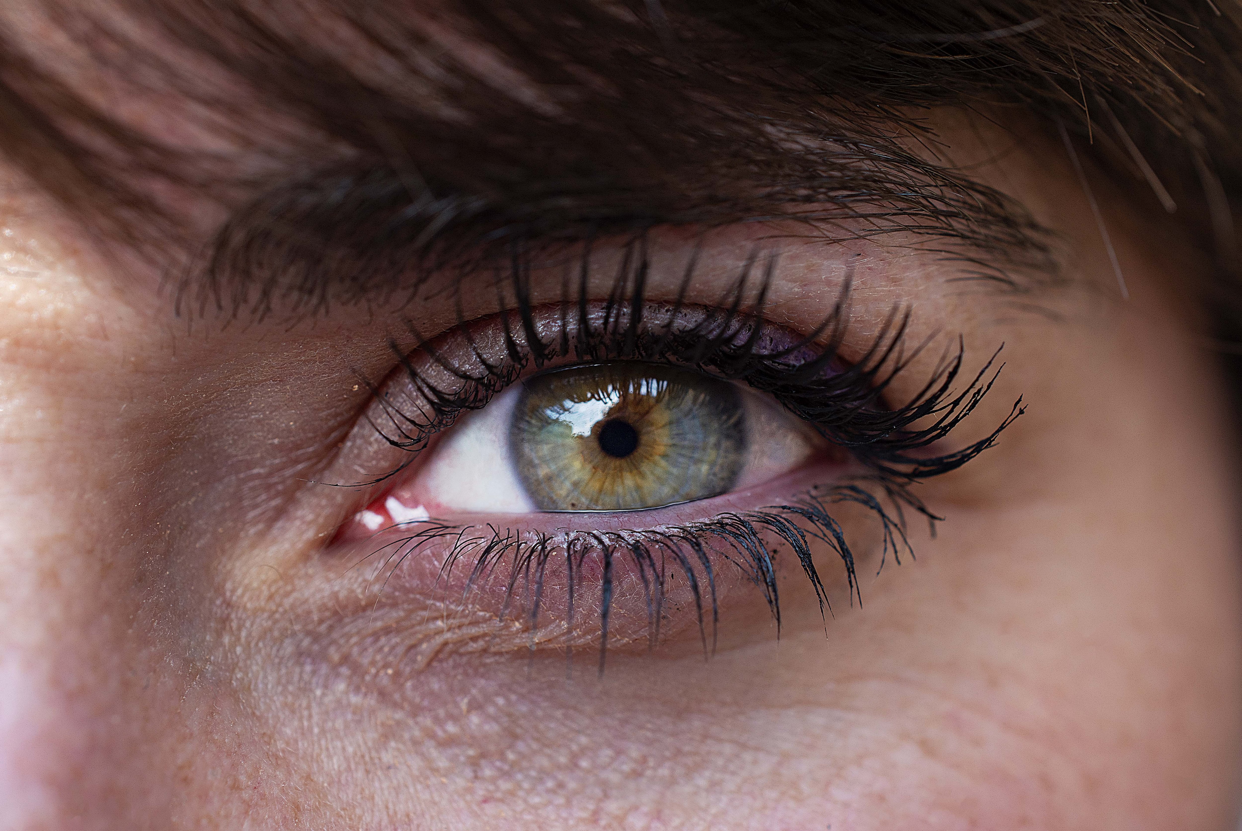 Ojo humano