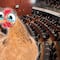 ¿Qué pasa en la Cámara de Senadores hoy 24 de abril? Una gallina fue sacrificada durante un rito “para la lluvia”