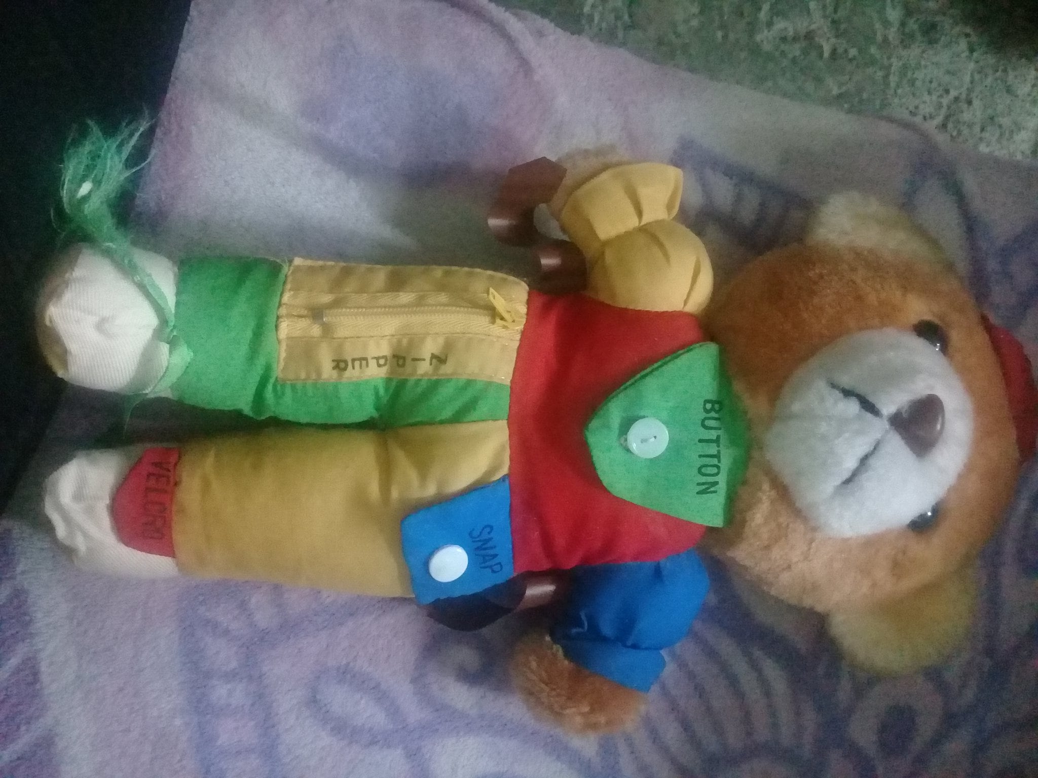 Talking Teaching Teddy