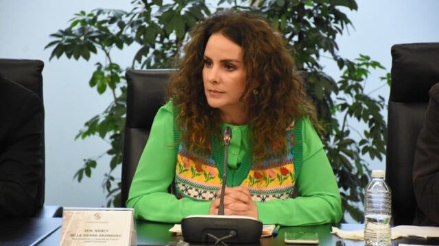 ¿Quién es Nancy de la Sierra Arámburo? Dejó al PT por el PRI en la Cámara de Senadores y ahora será independiente