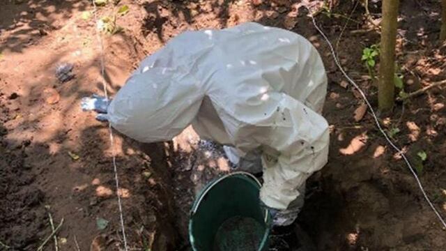 Fosas halladas en Alvarado, Veracruz.
