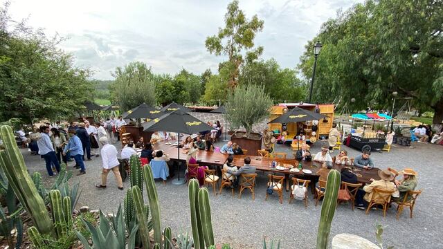 Vendimia 2023 en Querétaro