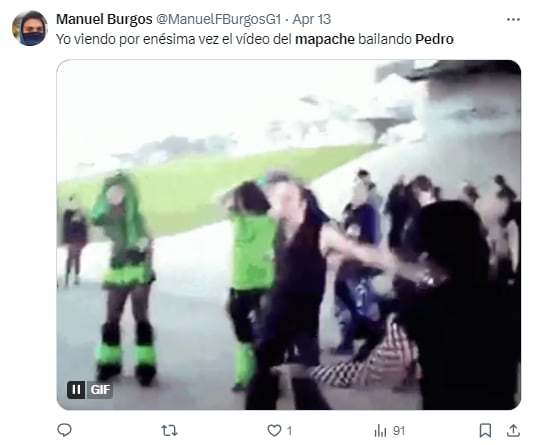 Memes del mapache "Pedro, Pedro"