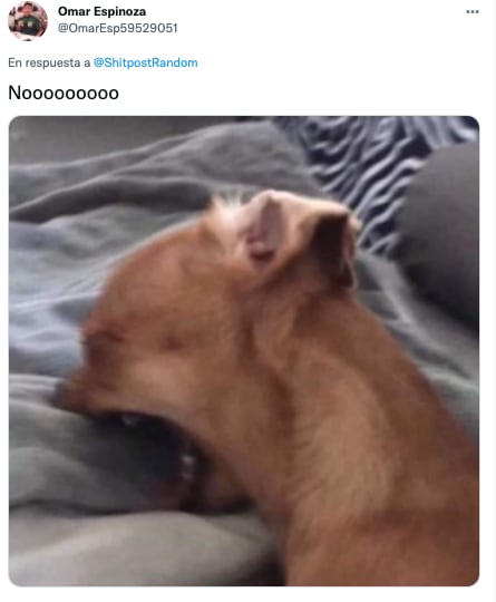 Lofi Girl: “Lofi hip hop radio - beats to relax/study to”. meme