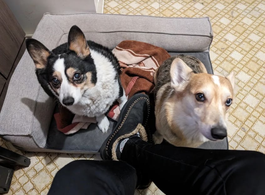 ¿Quién es José Antonio Badía?