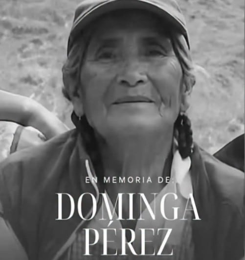 Asesinato de Dominga, vendedora de cemitas, desata indignación en Amozoc, Puebla