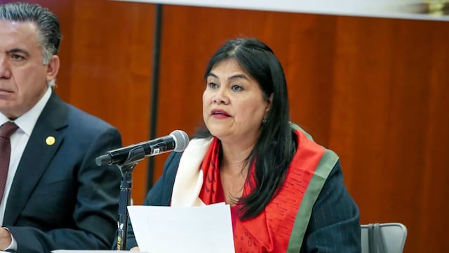 Guadalupe Chavira de la Rosa, senadora por Morena