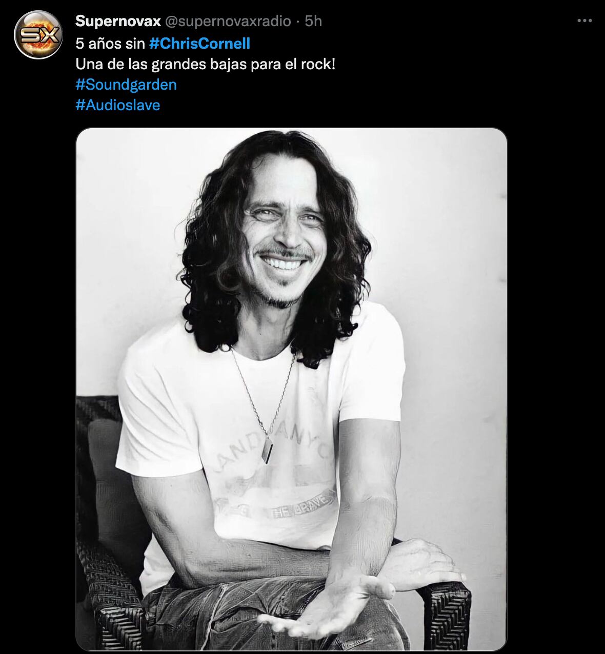 Chris Cornell Fans