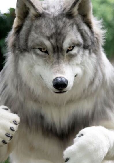 Disfraz de lobo