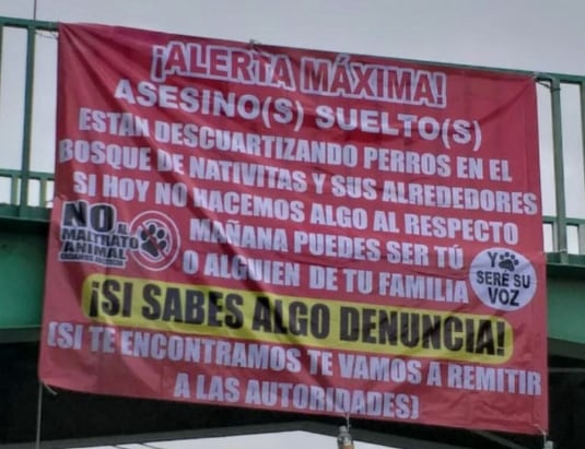 Denuncian perritos asesinados en Bosque de Nativitas