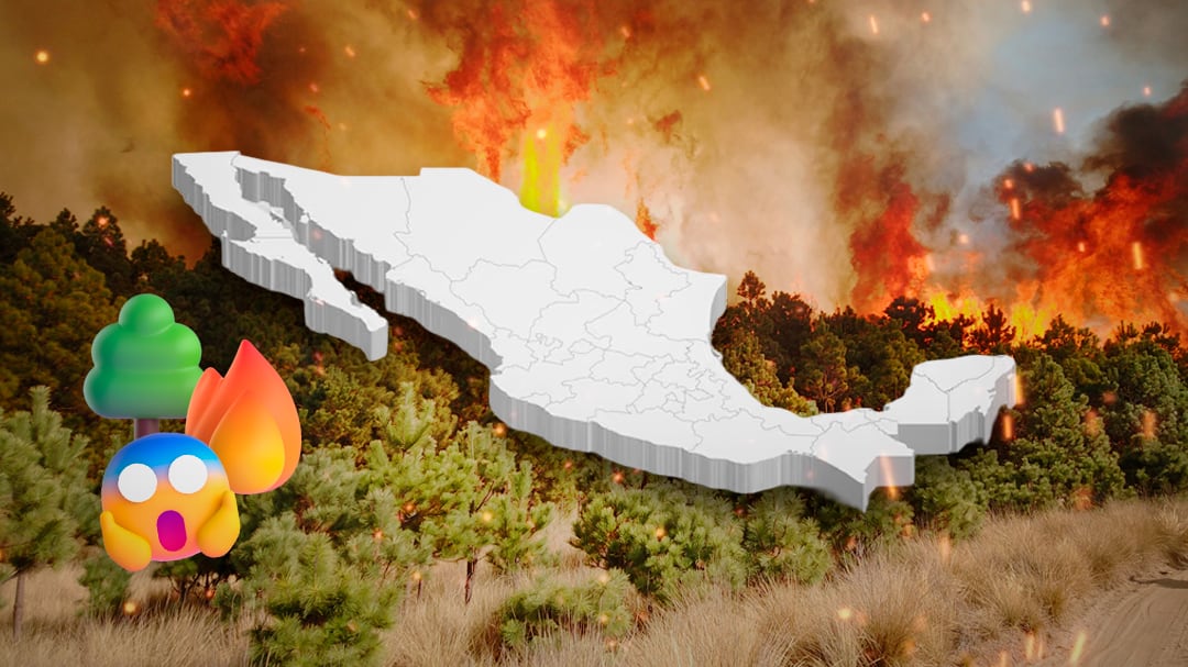 México enfrenta 17 incendios forestales activos