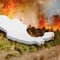 México enfrenta 17 incendios forestales activos