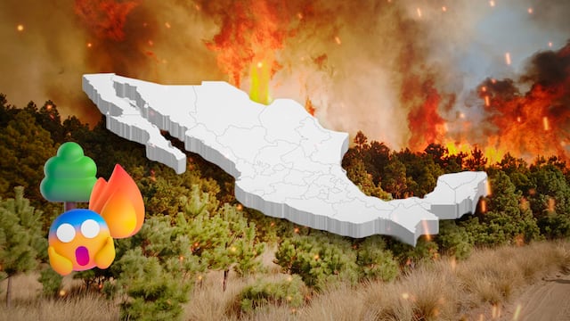 México ha combatido 14 incendios forestales y tiene 17 pendientes