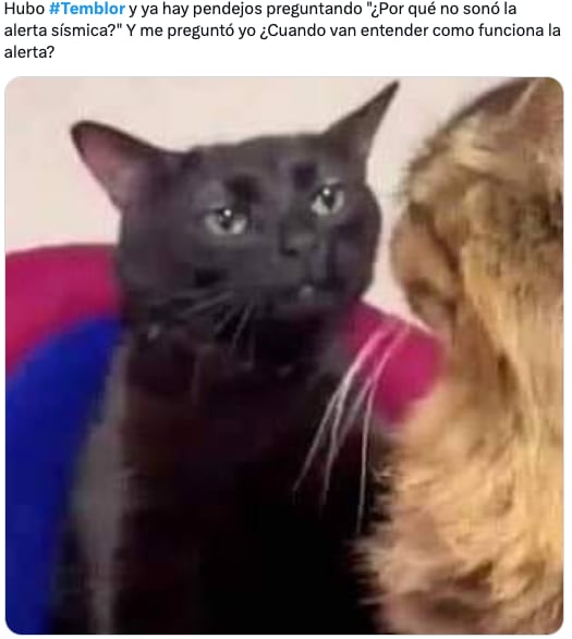 Memes del sismo en CDMX este 14 de febrero
