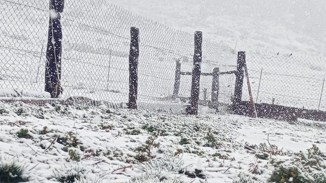 Nieve en Nuevo León