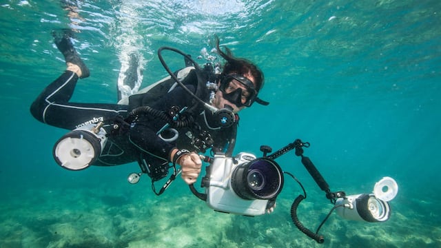 Mittermeier fotografiando los mares
