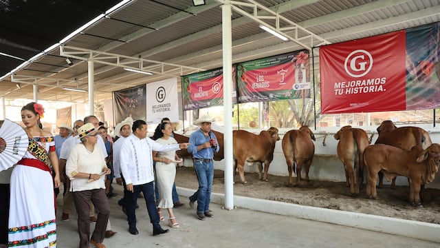Javier May impulsa ganadería en Tabasco con nueva pista y genética bovina.