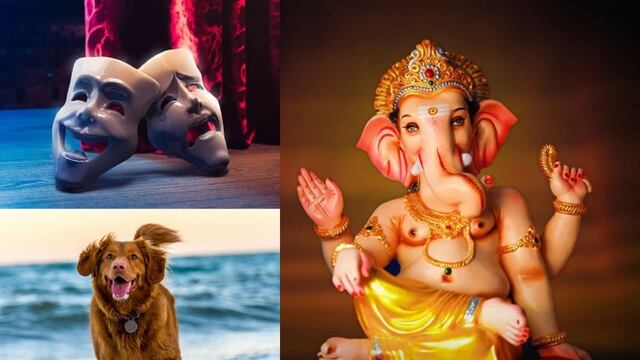 ¿Qué se celebra el 26 de agosto? Hoy es Día del Actor, Día del Perro y más efemérides