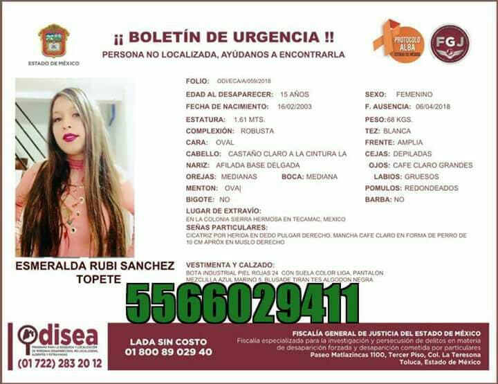 Ficha de búsqueda Rubí