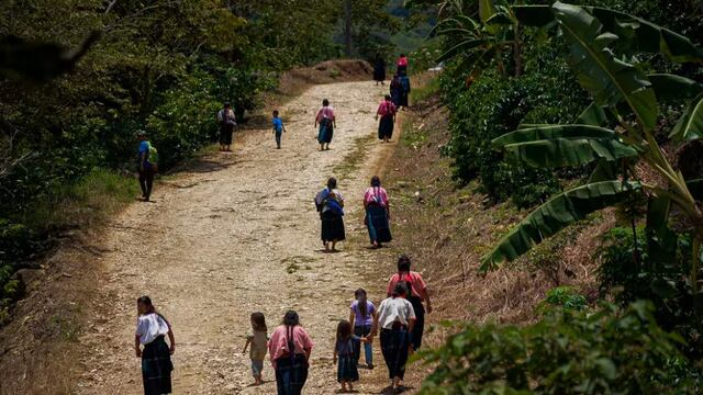 ¿Por qué hay violencia del narco en Chiapas? Pobladores huyen a Guatemala