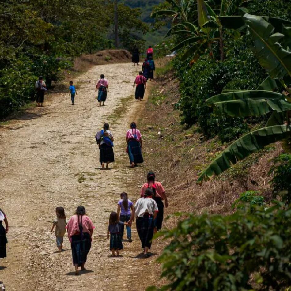 “Chiapas: el rostro más crudo de la desigualdad”