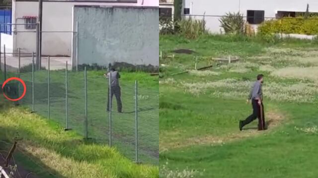 Hombre dispara contra el perrito en Tultepec