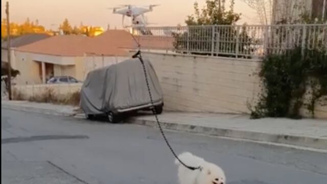 Un perrito es paseado por dron