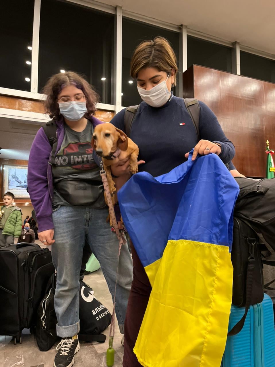 Llega familia mexicana evacuada de Ucrania junto con su perrita "salchicha"/Twitter Marcelo Ebrard